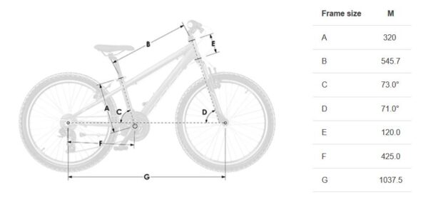 Cross DEXTER 26" VBR Зелен