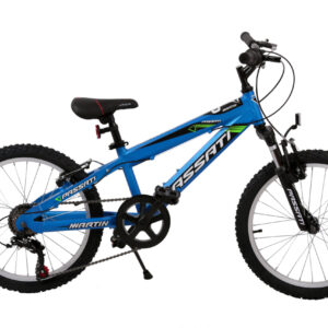 Passati 24MTB MARTYN 24 е детски планински велосипед, създаден за стабилност, комфорт и сигурност при каране. Passati 24MTB MARTYN 24 предлага здрава конструкция и удобна геометрия, което го прави отличен избор за подрастващи колоездачи. Passati 24MTB MARTYN 24 е подходящ за деца на възраст около 8–12 години с ръст приблизително 130–150 см. Благодарение на 24-инчовите гуми, Passati 24MTB MARTYN 24 осигурява по-добра стабилност и контрол при каране.
