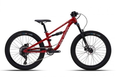 Детски велосипед Polygon Siskiu D24