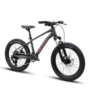 Детски велосипед Polygon XTRADA 20"