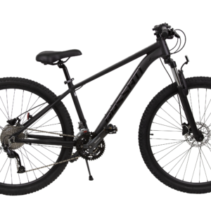 велосипед Passati ESCAPE 29" MTB