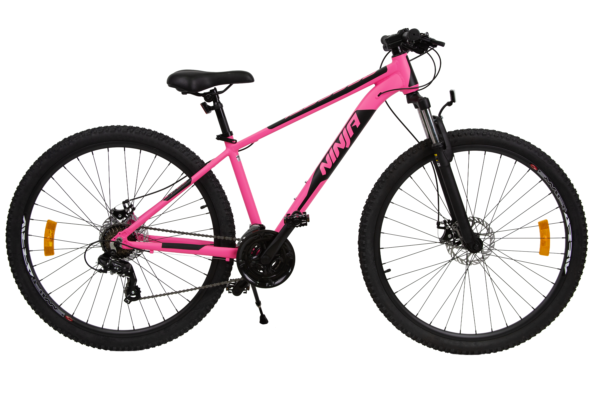 Велосипед Passati 29MTB NINJA